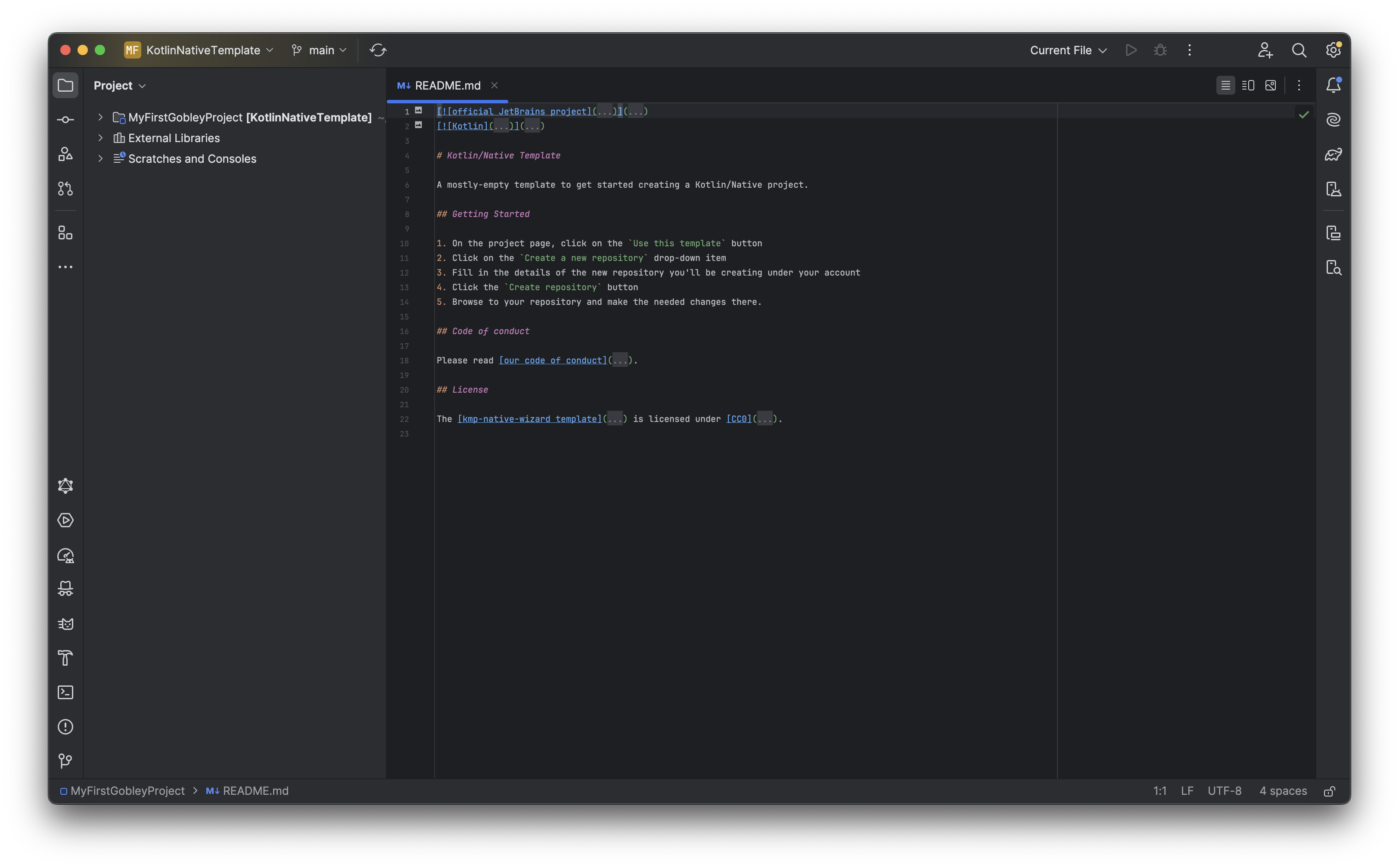 The IntelliJ IDEA screen after the project opened